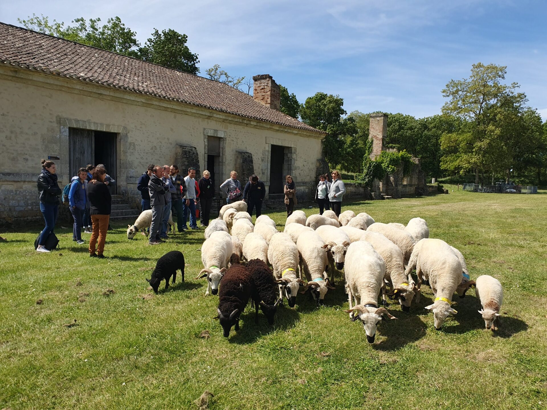 Valorisation du programme de recherche MARGINOV